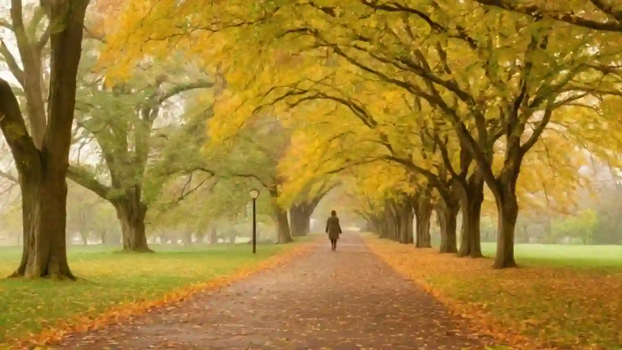 Ruhige Herbstlandschaft mit Einzelperson